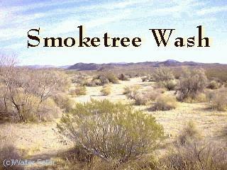 Porcupine Wash Smoketree Wash Pinto Basin Fried Liver Wash Cottonwood Spring Colorado Desert Mastodon Peak