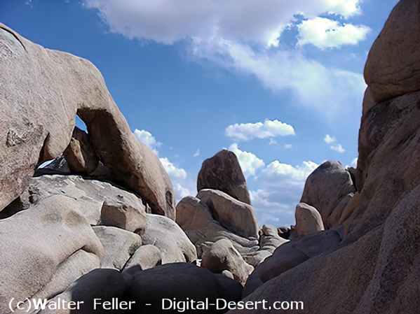 Geology tour of Arch rock in Joshua Tree