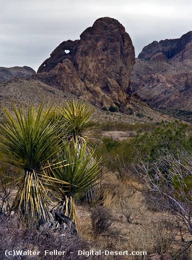 B;ack Mountains, mountain range, Arizona