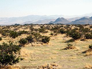 picture of Camp Cady site