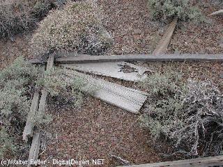 Cerro Gordo cemetery