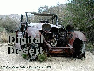 Mojave Desert bullet art
