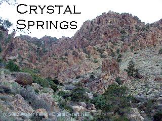 Mojave Desert springs photo