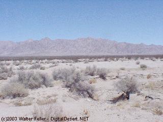 dry lake, 29 palms