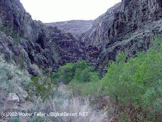 Darwin Falls, California Mojave Desert