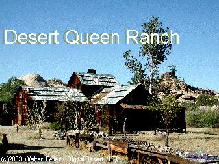 desert queen ranch