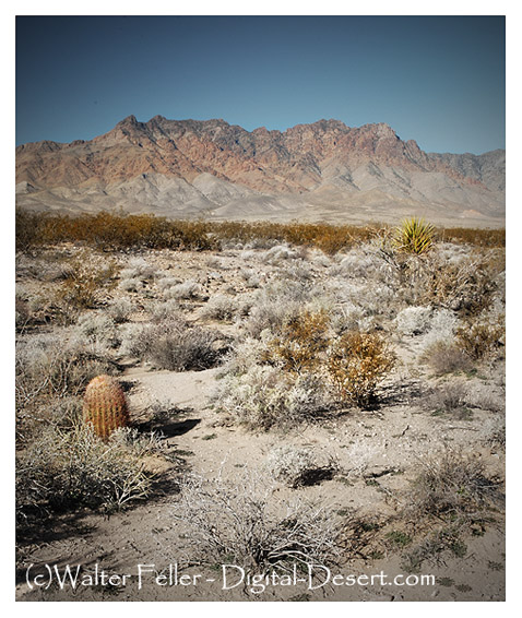 eastern face of Providence Mountains in the Mojave National Preserve in the eastern Mojave Desert