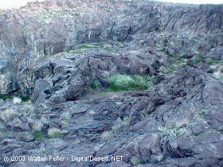 Fossil Falls