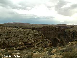 Little Colorado River Gorge - grand canyon photos