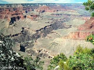 pima point - grand canyon photos