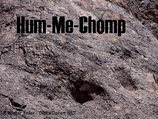 petroglyph pictures - Colorado River, Topock Gorge