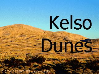 Picture of Kelso Dunes