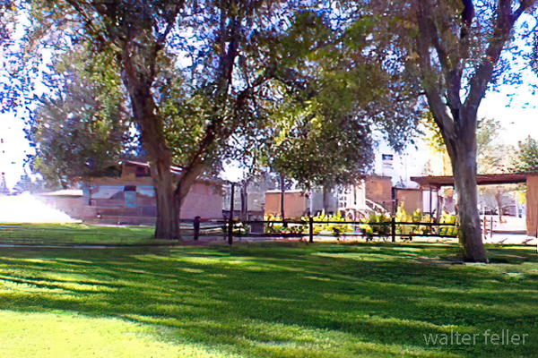 Photo of shady Pioneer Park in Lucerne Valley