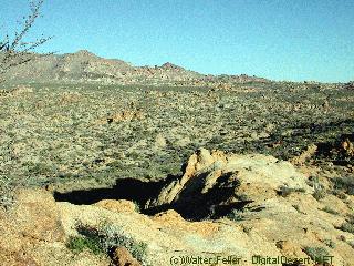 Mastodon Peak, Joshua Tree National Park