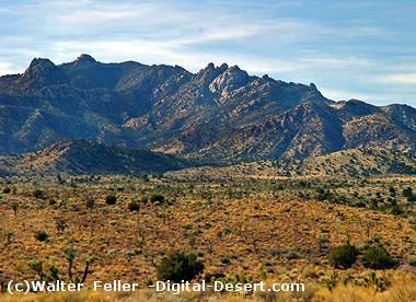 New York Mountains in the eastern Mojave Desert