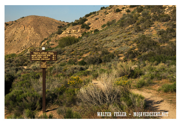 Photo of Pacific Crest trailhead at Deep Creek and Highyway 173