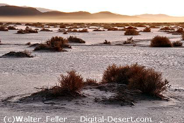 El Mirage Dry Lake