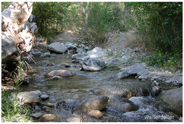 Big Rock Creek, Valyermo, Ca. San Gabriel Mountains