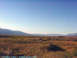 Postoffice Spring, Ballarat, Panamint Valley