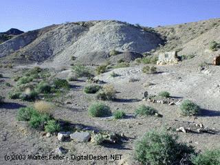 shoshone cemetery photos