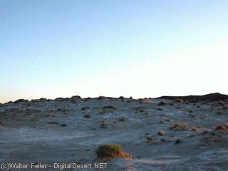Wild Pool - Tecopa Hot Springs photo