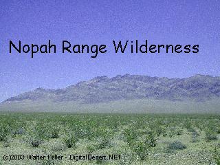 Nopah Range Wilderness photo