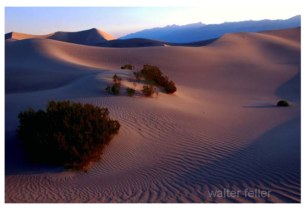 photo of mesquite dunes in Death Valley